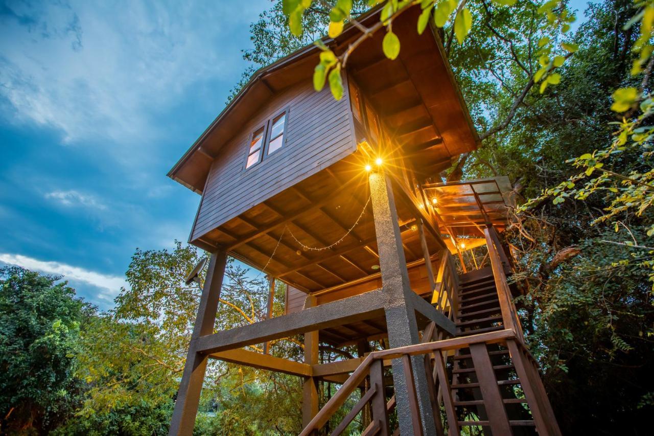 Sigiriya King'S Resort Exterior foto